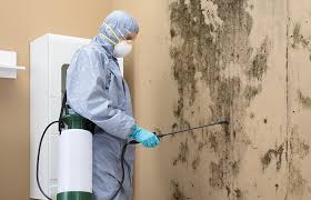 Mold Remediation for Rental Properties in Foley, AL